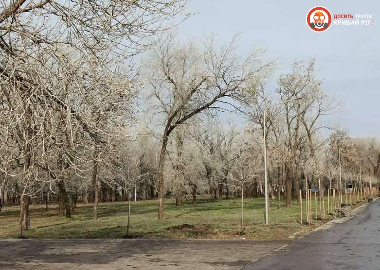 Зрозуміти, звідки білий осад на деревах