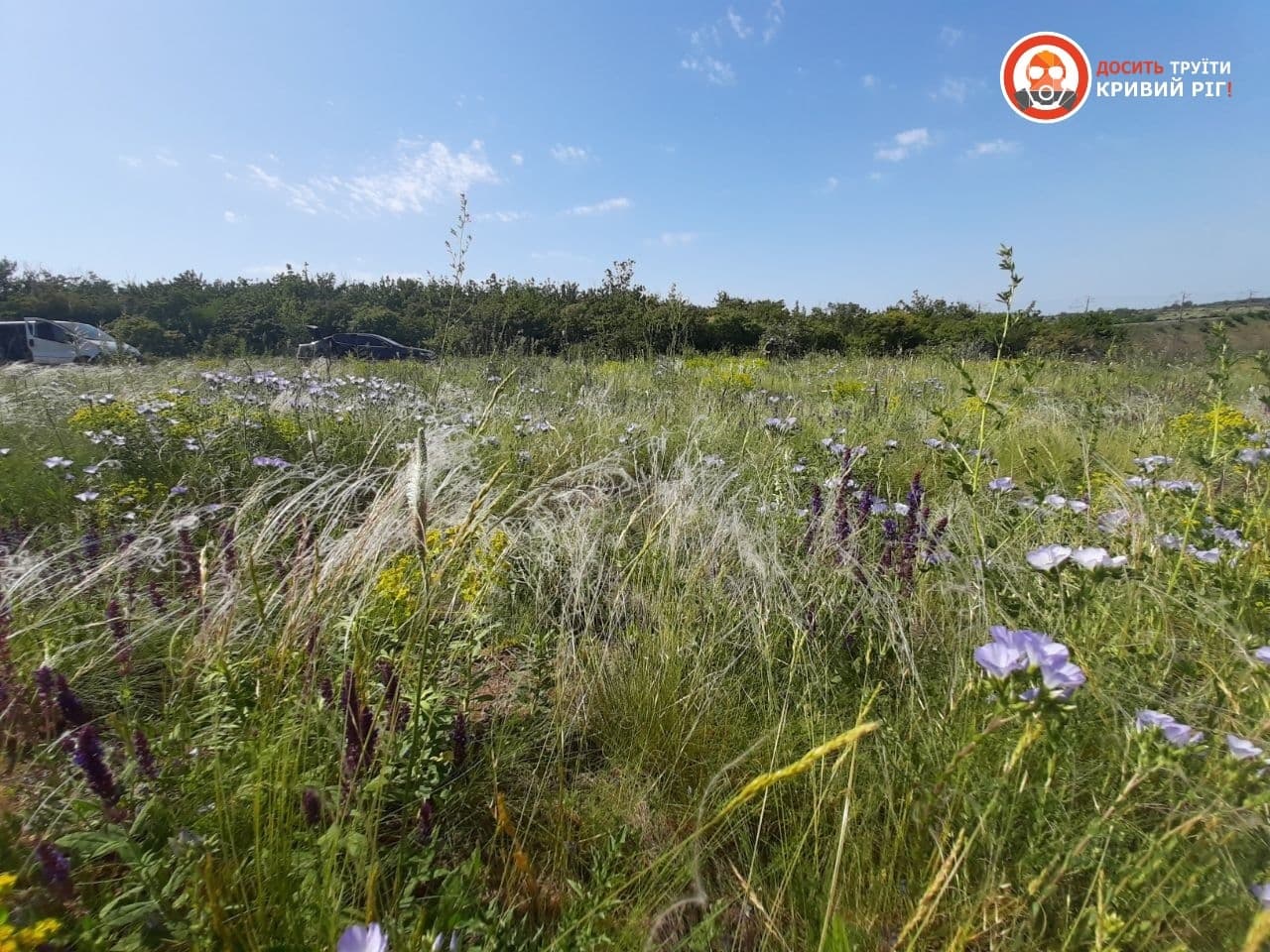Скільки червонокнижних рослин постраждали через будівництво відвалу «Степовий-2»?