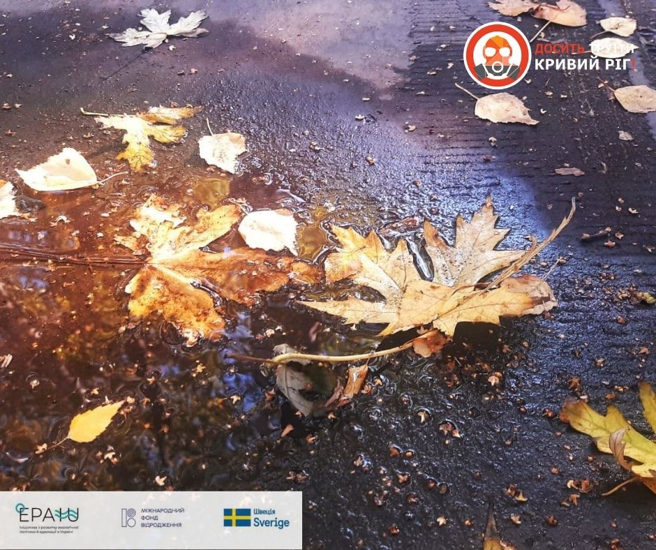 У дослідженому опалому листі з Кривого Рогу знайшли сполуки важких металів: його централізована утилізація в таких умовах – необхідність