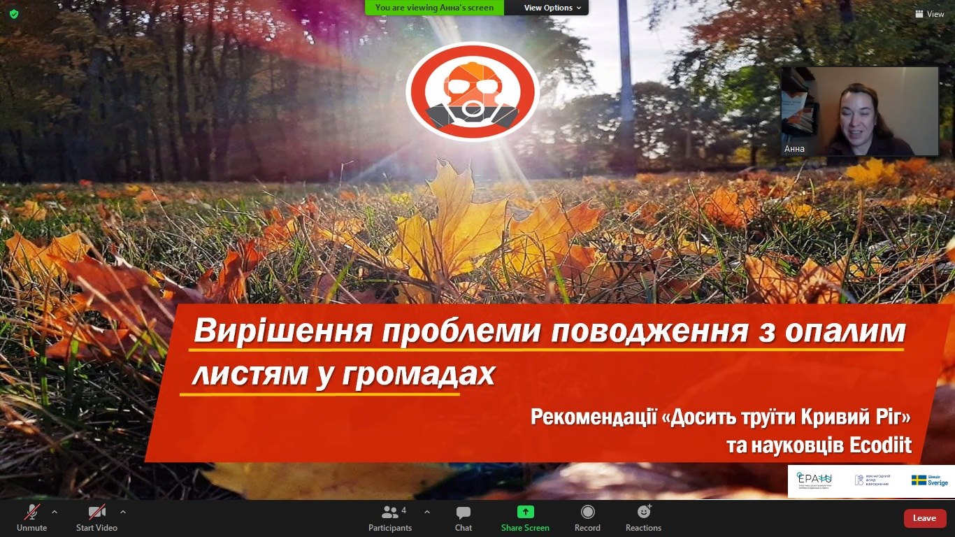Представили рекомендації для вирішення проблеми опалого листя у громадах
