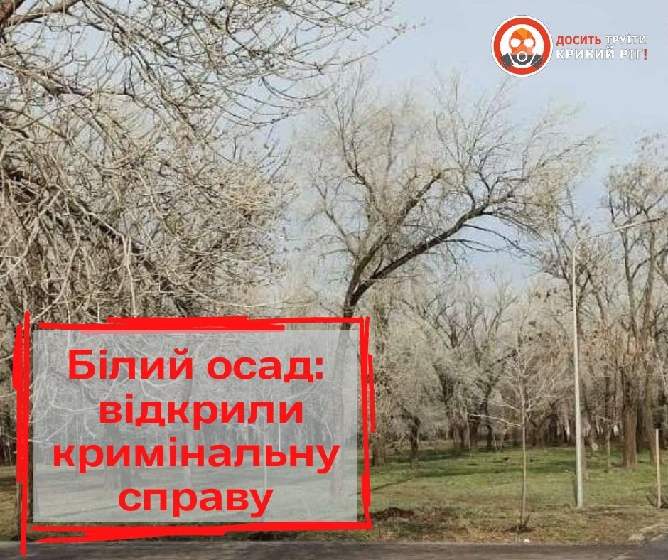 Прокуратура відкрила кримінальну справу за заявою «Досить труїти Кривий Ріг» через білий осад на вулицях Кривого Рогу