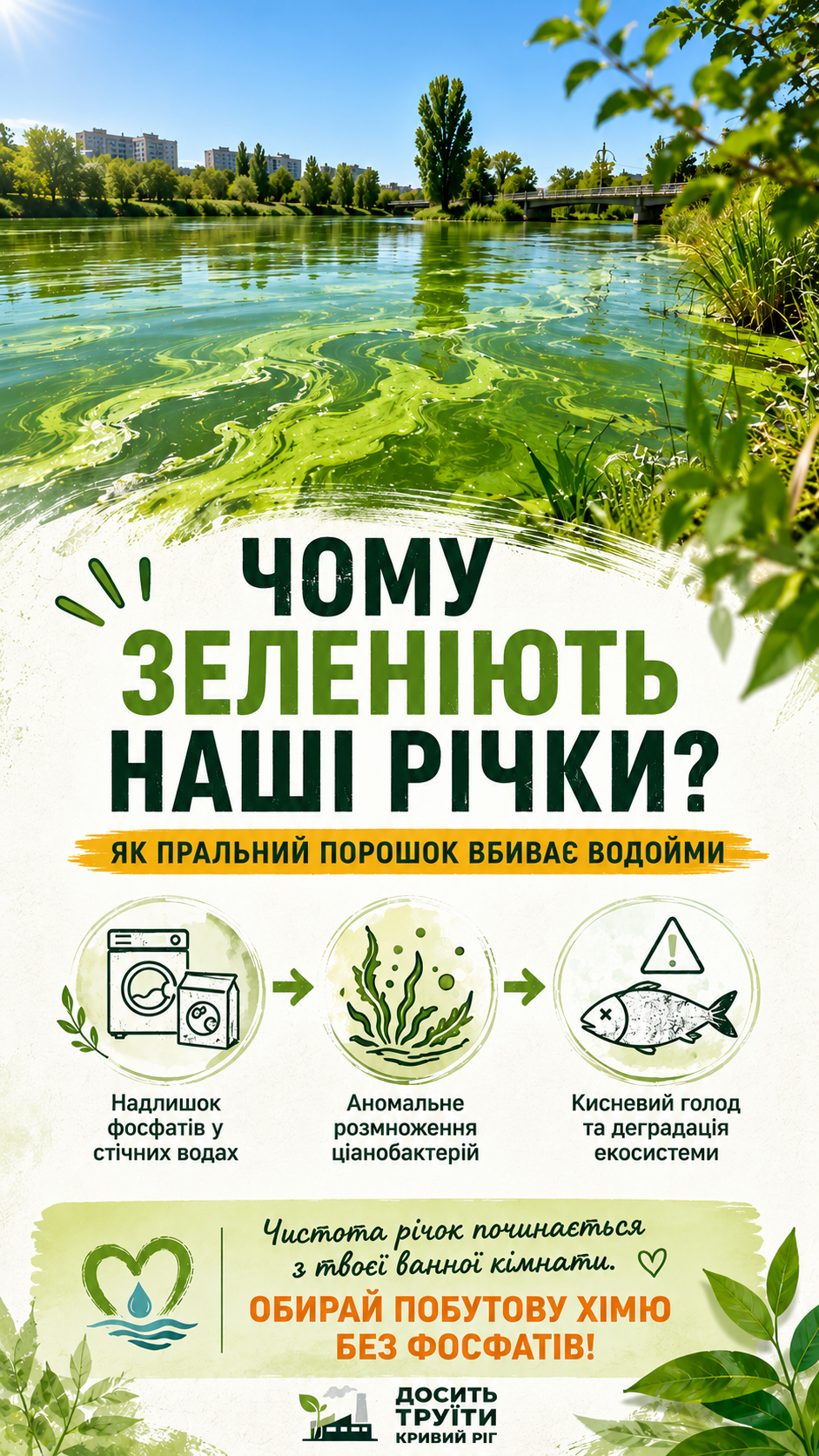 Чому зеленіють наші річки та як звичайний пральний порошок вбиває рибу