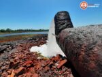 Шахтні води Кривбасу: чому старі рішення більше не працюють і що чекає на річку Інгулець?